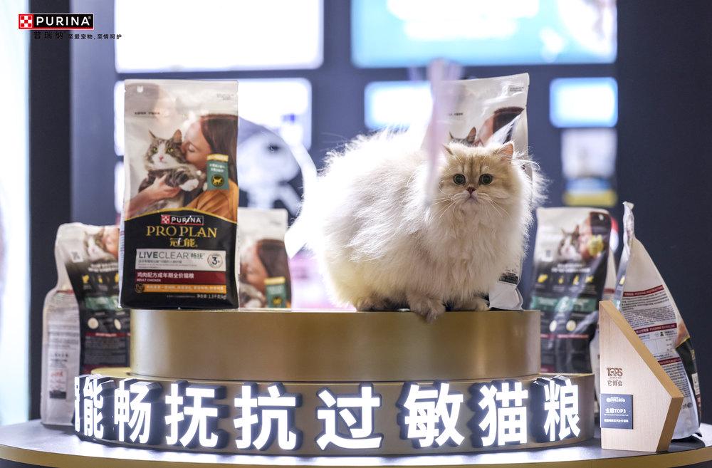 级上市让数千万中国爱猫家庭“自由吸猫”开元棋牌网站全球首款抗过敏猫粮本土升(图2)