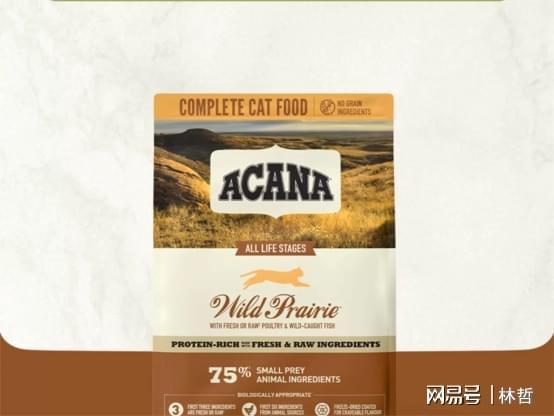 粮？宠物猫粮品牌排行榜前十名分享开元棋牌网站新手怎么选择合适的猫