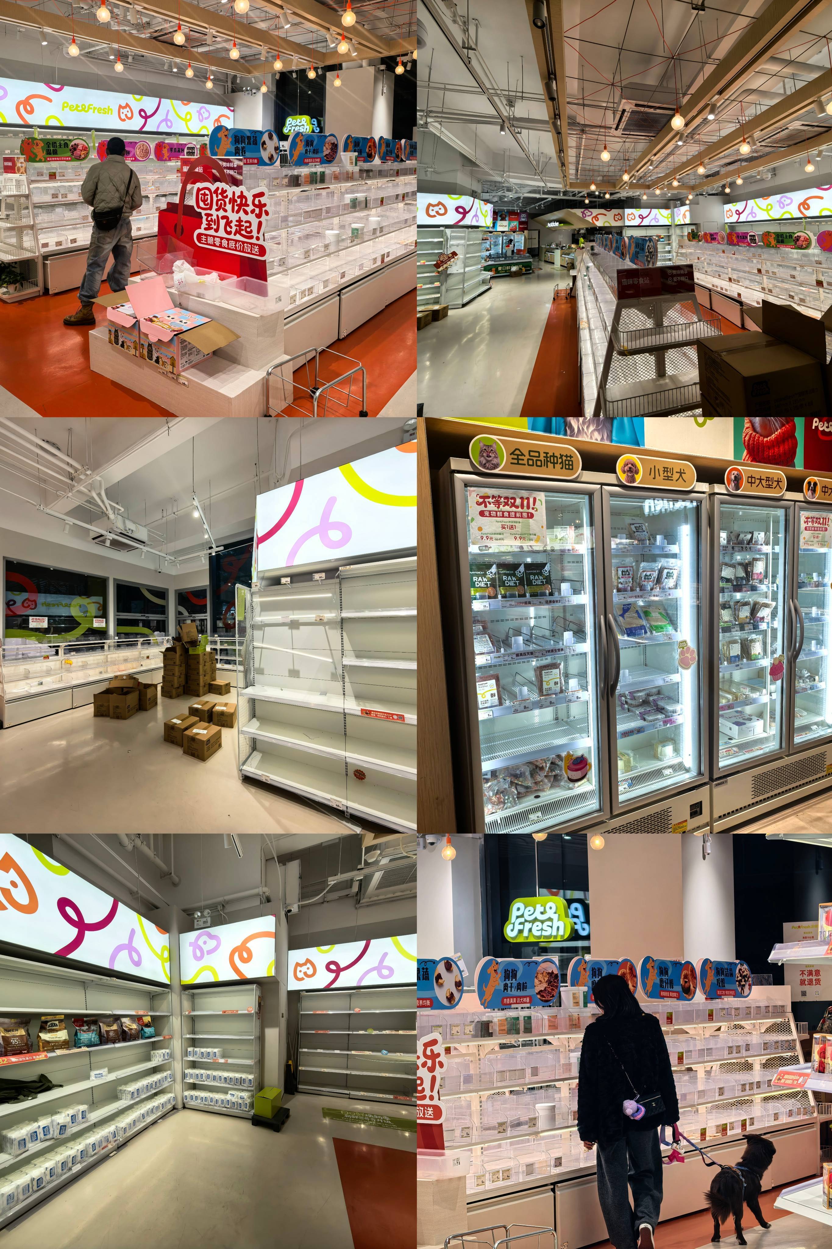 ：侯毅的派特鲜生10个月“闪退”开元棋牌二次创业“天真”的代价(图3)