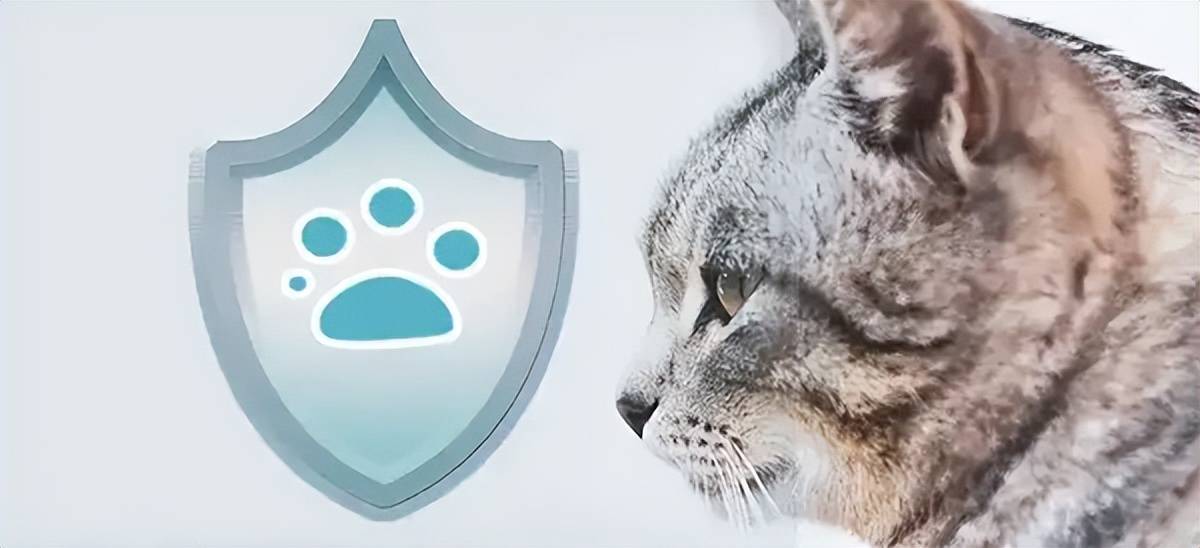 万亿“它经济”战场伊利、光明们快马杀到(图4)