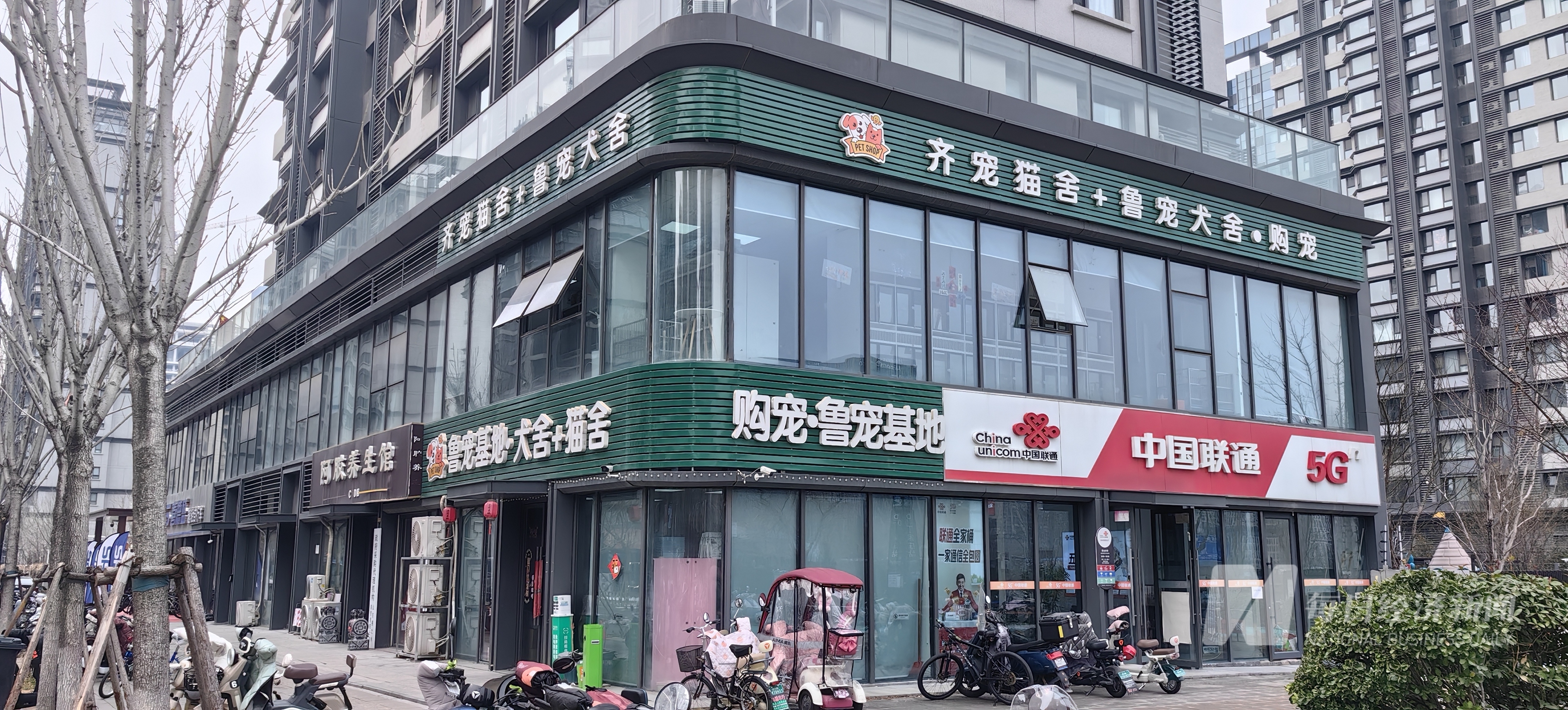 药宠物从“吃饱”转型“吃好” 国产品牌崛起驱动万亿元市场开元棋牌“2025 宠物消费·智享未来报告”｜狗粮也加中(图2)