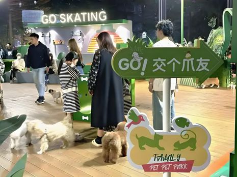 生丨宠物坐高铁侯毅下厨房开元棋牌app实
