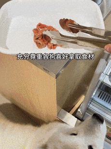 辣烫25一斤全是真肉上海狗有福了！ky开元棋牌破防了！上海惊现狗狗麻(图6)
