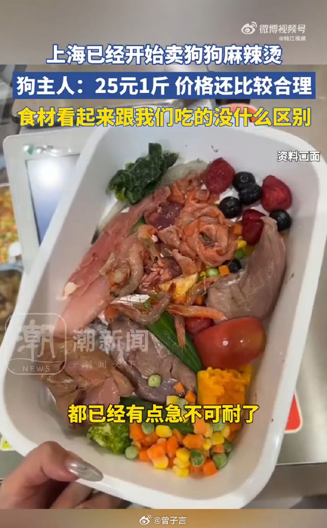 辣烫25一斤全是真肉上海狗有福了！ky开元棋牌破防了！上海惊现狗狗麻(图3)