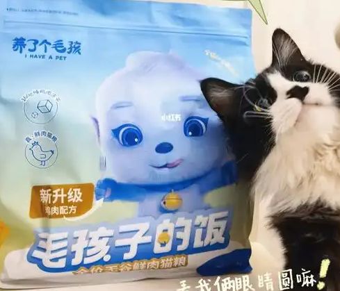粮！三只松鼠靠什么重返宠物食品赛道开元ky棋牌零食巨头盯上毛孩子口(图3)